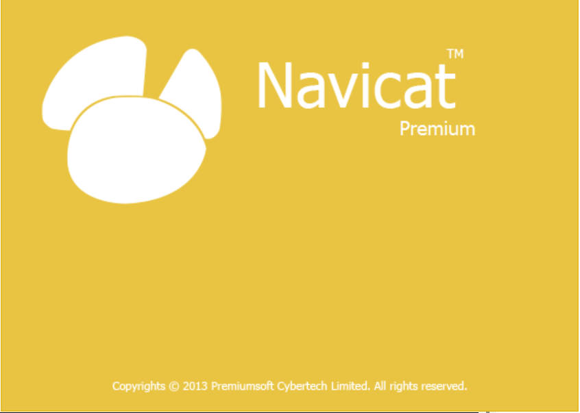 N11数据库连接工具-925源码网-游戏源码网