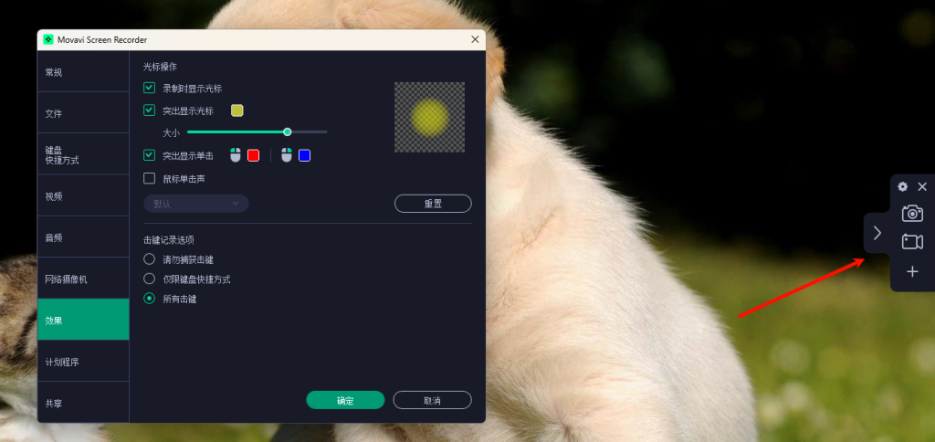 图片[1]-电脑屏幕录像软件 Movavi Screen Recorder-925源码网-游戏源码网