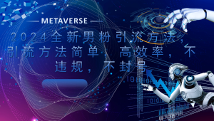 2024全新男粉引流方法，引流方法简单，高效率，不违规，不封号。-925源码网-游戏源码网