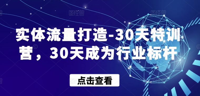 实体流量打造-30天特训营，30天成为行业标杆-925源码网-游戏源码网