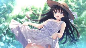 痴情哥哥与病弱妹妹的乡间生活 / Sickly Days and Summer Traces 简体中文版-925源码网-游戏源码网