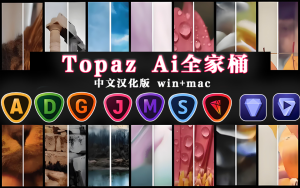 Topaz Ai全家桶-中文汉化版-Win+Mac-含大量Ai模型！-925源码网-游戏源码网